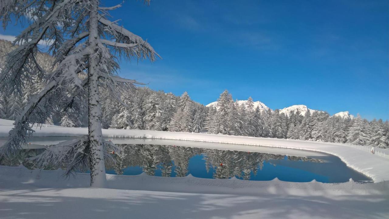 B&B Rocciamelone Susa Bagian luar foto
